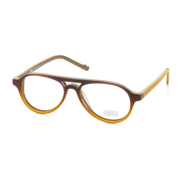 BBIG 210 Brown to Blond/Grey – 361 kinderbril bij bckspace