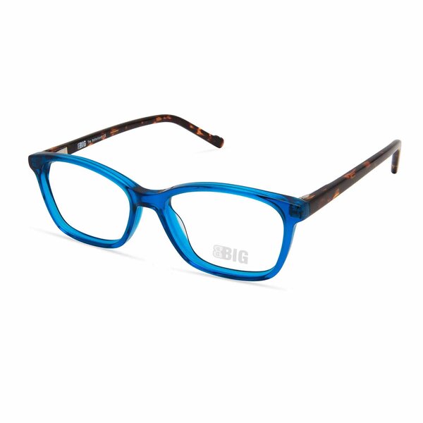 BBIG 253 Blue/Havana – 507 kinderbril bij bckspace