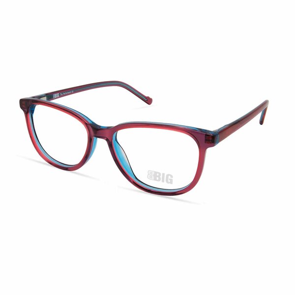 BBIG 254 Purple/Blue – 510 kinderbril bij bckspace