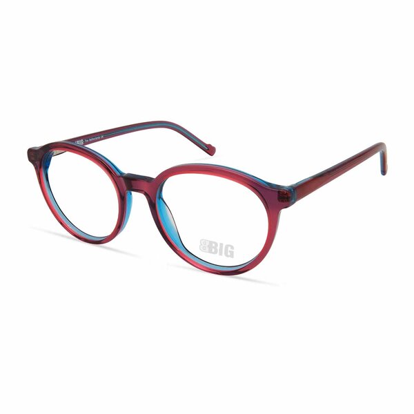 BBIG 255 Purple/Blue – 510 kinderbril bij bckspace