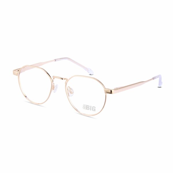 BBIG 713 Gold – 30 kinderbril bij bckspace